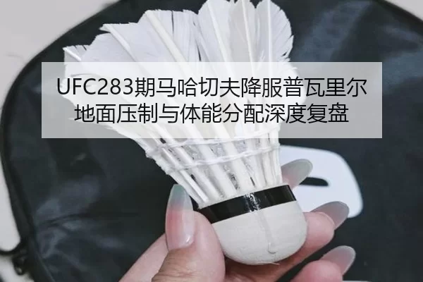 qi-ma-ha-qie-fu-xiang-fu-pu-wa-li-er-di-mian-ya-zhi-yu-ti-neng-fen-pei-shen-du-fu-pan-2-340.jpg