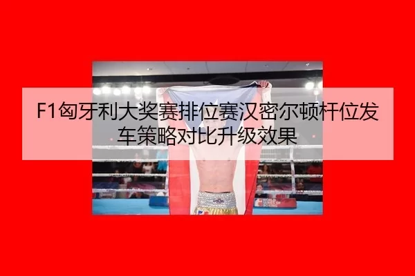 xiong-ya-li-da-jiang-sai-pai-wei-sai-han-mi-er-dun-gan-wei-fa-che-ce-lve-dui-bi-sheng-ji-xiao-guo-2-617.jpg