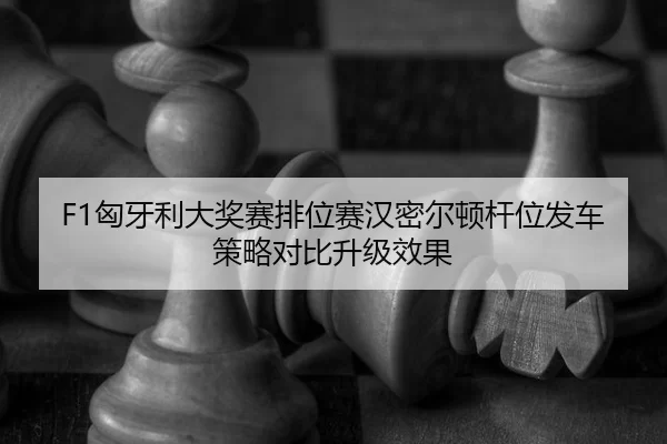 xiong-ya-li-da-jiang-sai-pai-wei-sai-han-mi-er-dun-gan-wei-fa-che-ce-lve-dui-bi-sheng-ji-xiao-guo-3-521.jpg